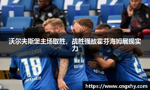 沃尔夫斯堡主场取胜，战胜强敌霍芬海姆展现实力