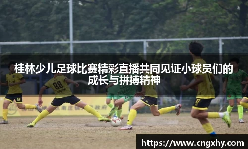 bsports必一运动