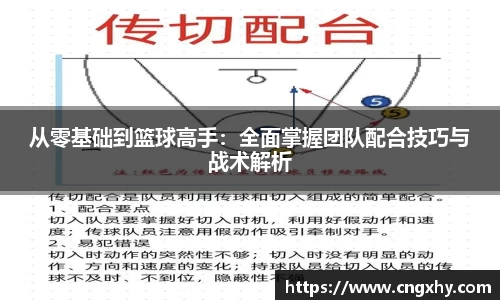 从零基础到篮球高手：全面掌握团队配合技巧与战术解析