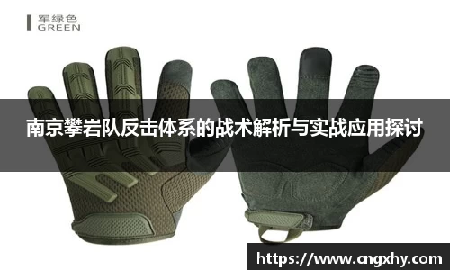 南京攀岩队反击体系的战术解析与实战应用探讨