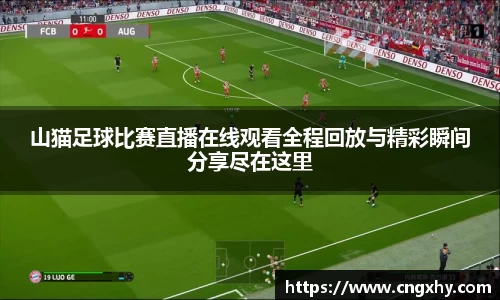 山猫足球比赛直播在线观看全程回放与精彩瞬间分享尽在这里
